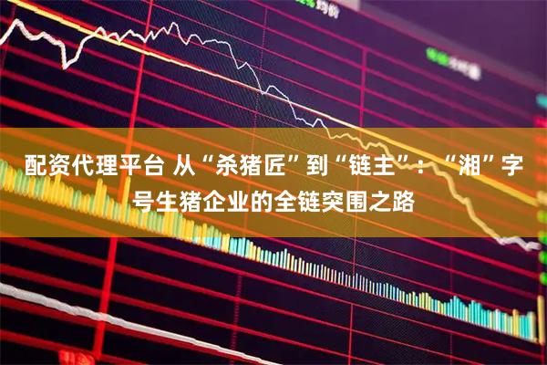 配资代理平台 从“杀猪匠”到“链主”：“湘”字号生猪企业的全链突围之路