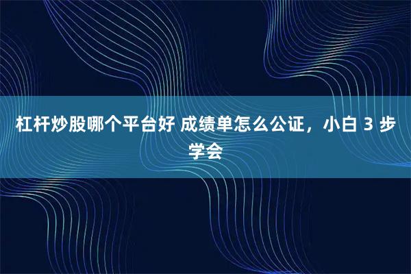 杠杆炒股哪个平台好 成绩单怎么公证，小白 3 步学会