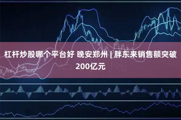 杠杆炒股哪个平台好 晚安郑州 | 胖东来销售额突破200亿元